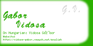 gabor vidosa business card